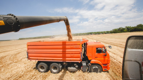 Россия повысила урожайность зерновых на 23 процента - РСХБ 